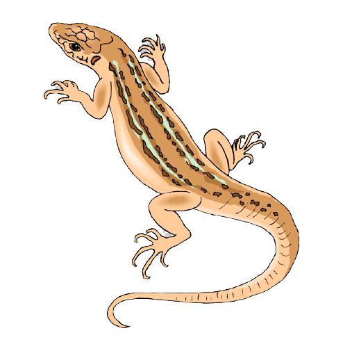 pest thumb