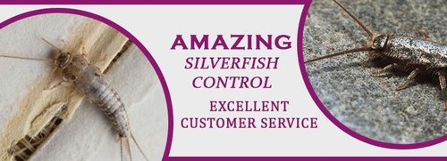 Sliverfish Control