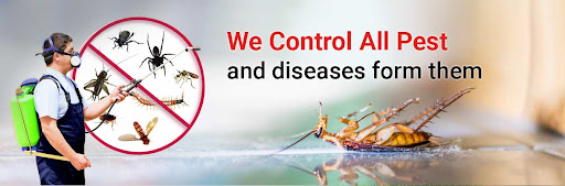 Termite Control