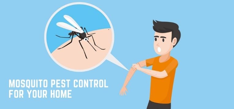 Mosquito Control