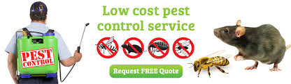 Rodent Control